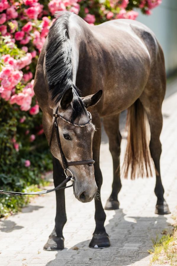 1a74fdac-ae9e-44e4-b9af-2ba2e8aedcad