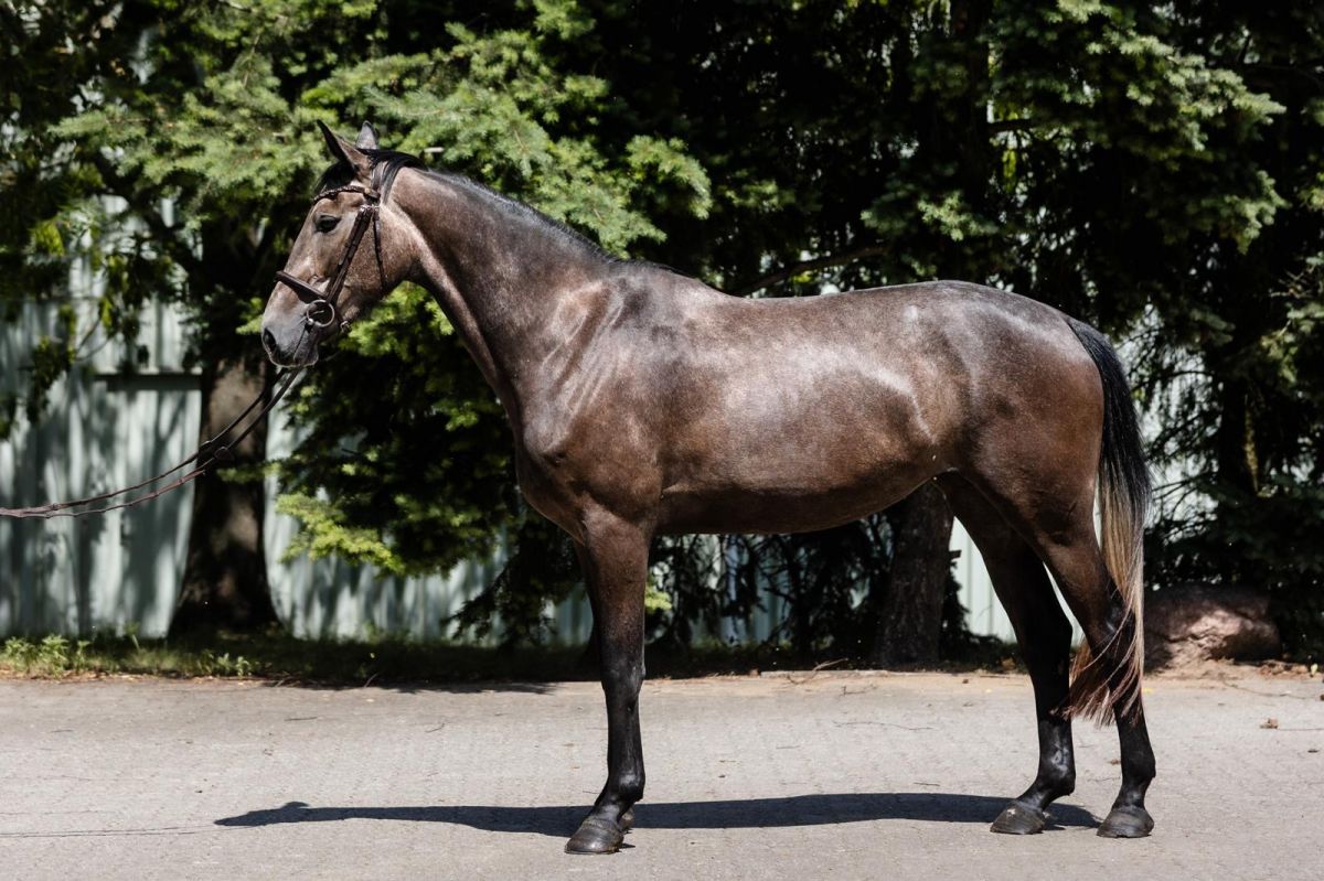 29b84d13-c198-4c7c-92a8-10d45b509184