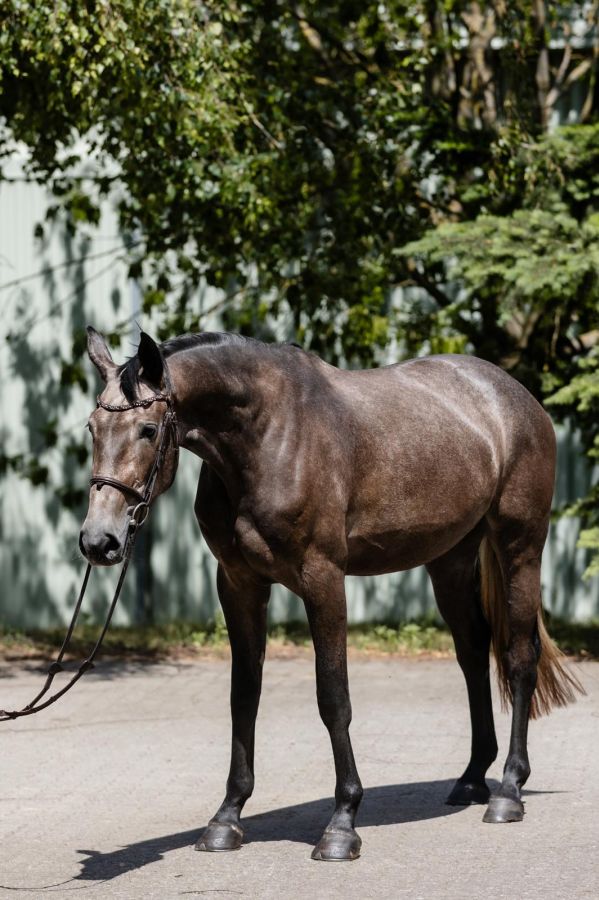 34540545-0280-411b-bc57-89c6d3b66aed